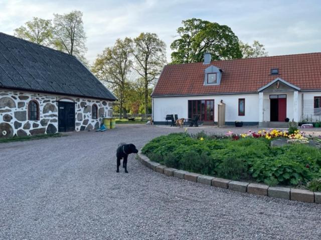 Ormanasgarden Leilighet Höör Eksteriør bilde